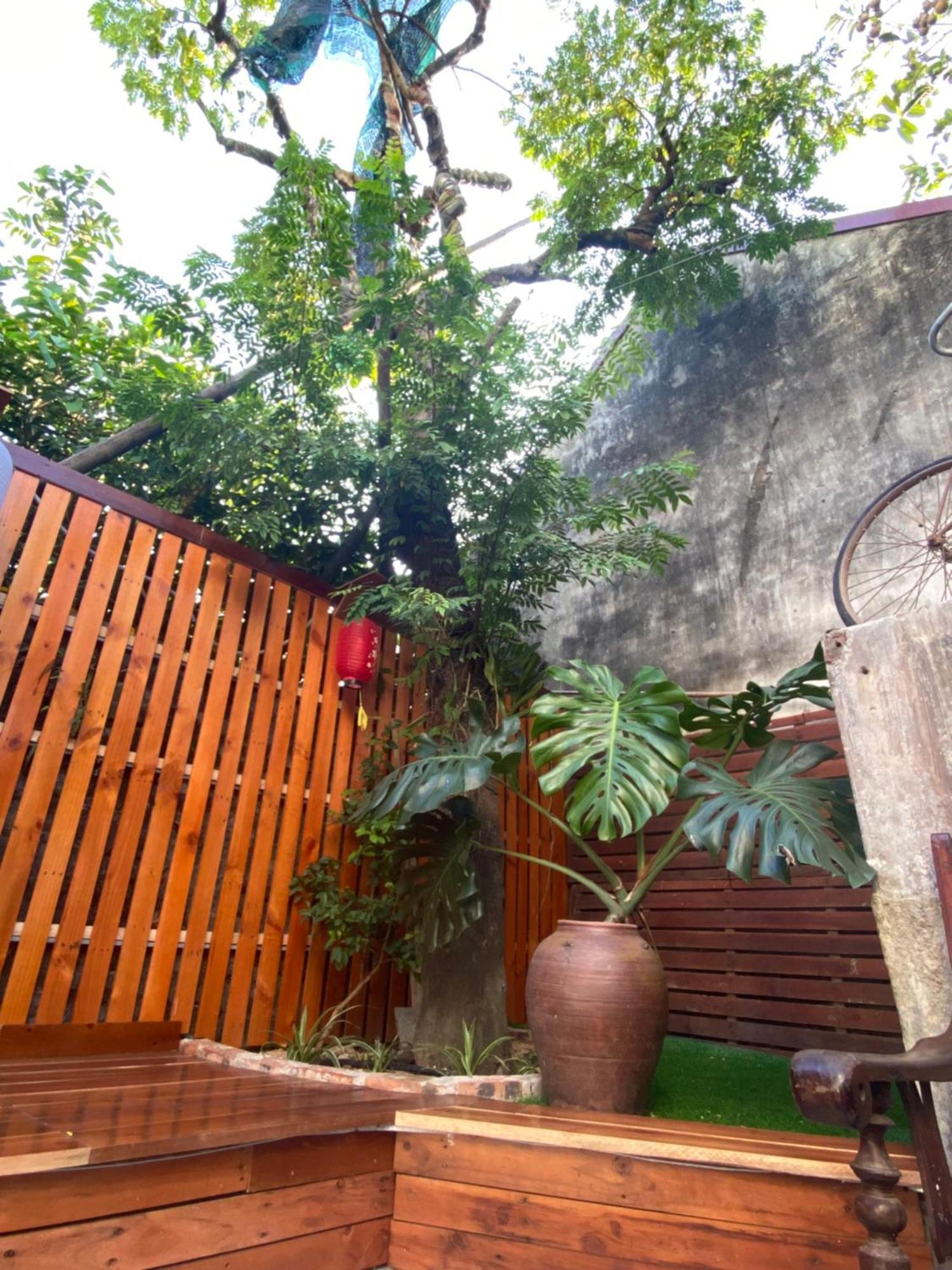 Ohayo Tam Coc Homestay Нин Бин Екстериор снимка