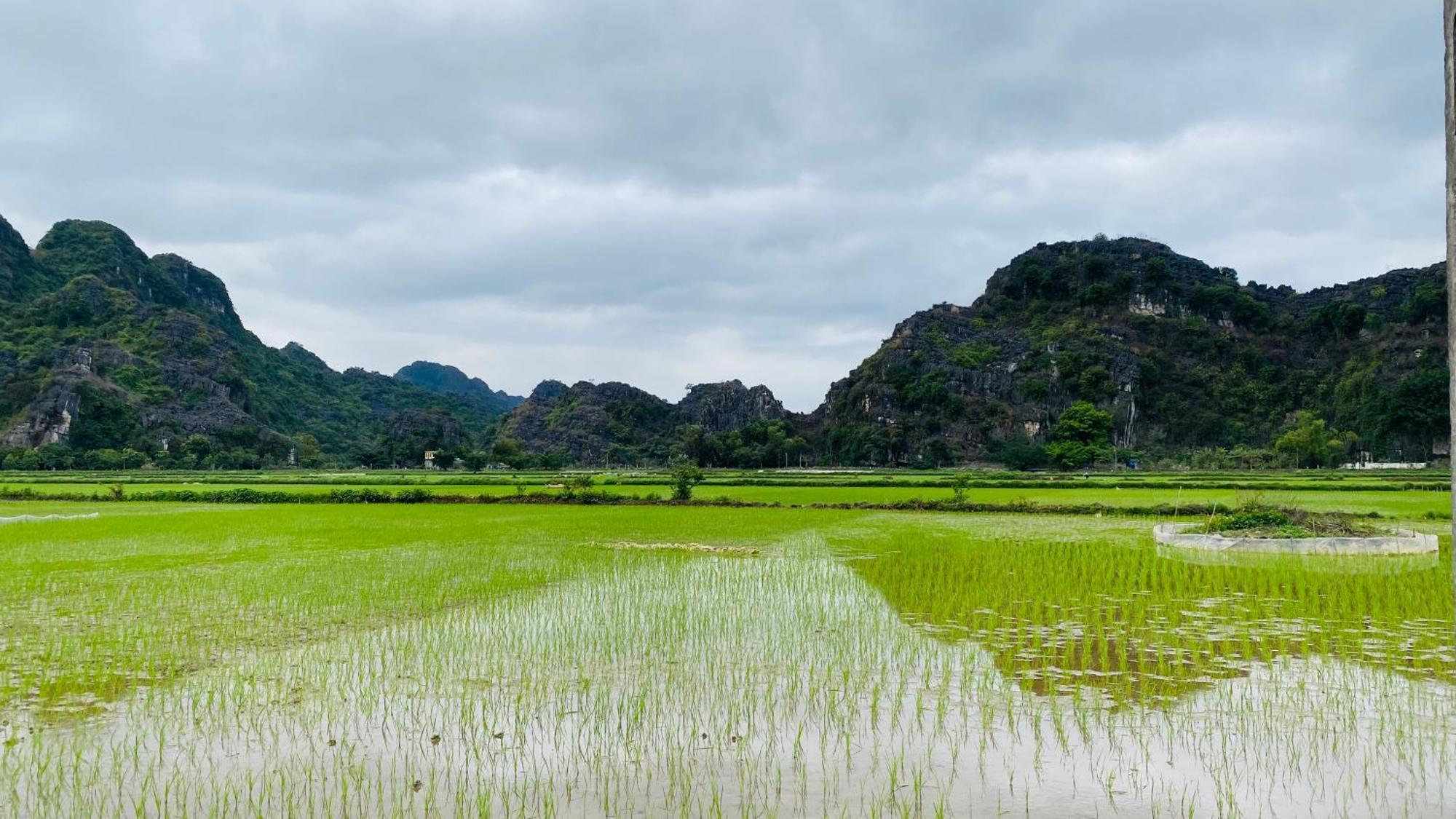Ohayo Tam Coc Homestay Нин Бин Екстериор снимка